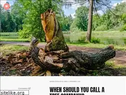 Sites similar to trappersfestival.com
