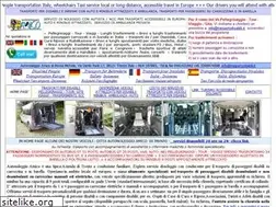 Sites similar to trasportodisabili.it