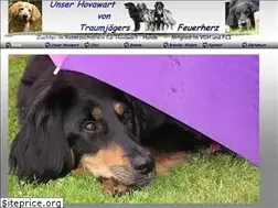 Sites similar to traumjaegers-feuerherz.de