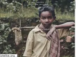 Sites similar to travellink-india.com