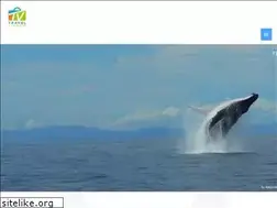 Sites similar to travelviaggio.net