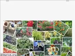 Sites similar to traversejamaica.com
