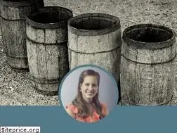 Sites similar to treasurecarolina.com
