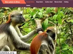 Sites similar to treasuretravels.co.tz