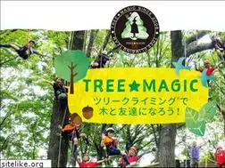 Sites similar to tree-magic.com