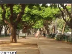 Sites similar to treeflx.com