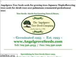 Sites similar to trees-seeds.com