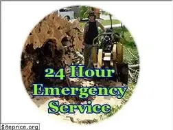 Sites similar to treeservicecapecoral.net