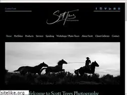 Sites similar to treesmedia.com