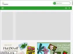 Sites similar to treesseller.com