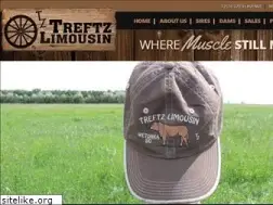 Sites similar to treftzlimousin.com