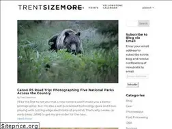 Sites similar to trentsizemore.com