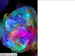 Sites similar to tresorberlin.com