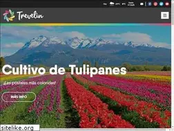 Sites similar to trevelin.tur.ar