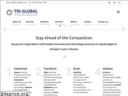 Sites similar to tri-global.com