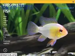 Sites similar to triadreefcritters.com
