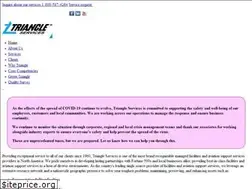 Sites similar to triangleservices.com