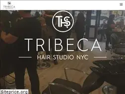 Sites similar to tribecahairstudionyc.com