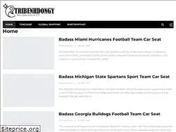 Sites similar to tribenhdongy.com