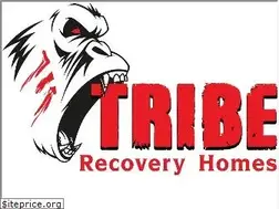 Sites similar to triberecoveryhomes.com