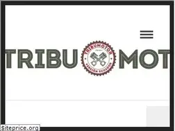 Sites similar to tribumotor.com