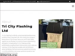 Sites similar to tricityflashing.com