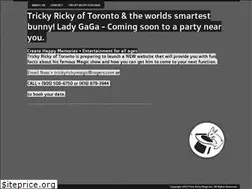 Sites similar to trickyrickymagician.com