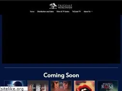 Sites similar to tricoastworldwide.com