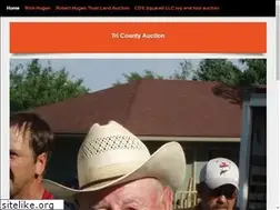 Sites similar to tricountyauction.com