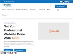 Sites similar to trigentsolution.com