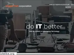 Sites similar to triggerfishcorp.com