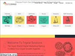 Sites similar to trigitalsolutions.com