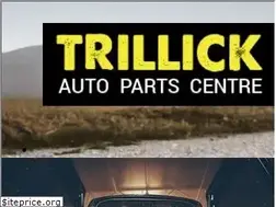 Sites similar to trillickautoparts.com