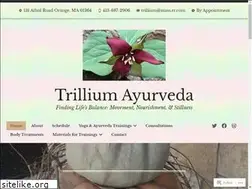Sites similar to trilliumayurveda.com