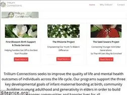 Sites similar to trilliumconnections.org