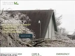 Sites similar to trilliumtree.ca