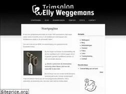 Sites similar to trimsalonellyweggemans.nl