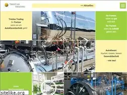 Sites similar to trinitas-trading.de