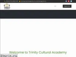 Sites similar to trinityculturalacademy.com