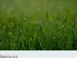Sites similar to trinityhinsdale.com