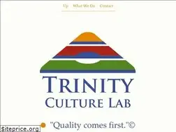 Sites similar to trinitylab.pl