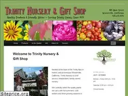 Sites similar to trinitynursery.com