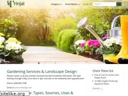 Sites similar to trinjal.com