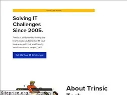 Sites similar to trinsictech.com