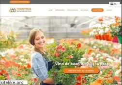 Sites similar to trionymus.nl