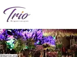Sites similar to trioorganizasyon.com