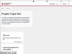 Sites similar to triple-win-pflegekraefte.de