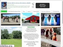 Sites similar to triplelranchllc.com