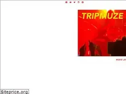 Sites similar to tripmuze.com
