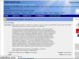 Sites similar to tripraffles.com